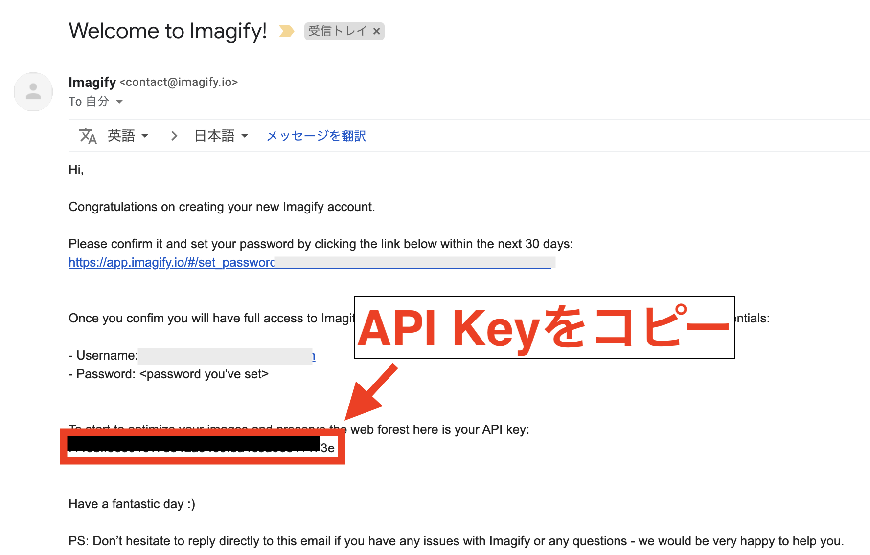 ImagifyのAPI Keyの取得方法-5