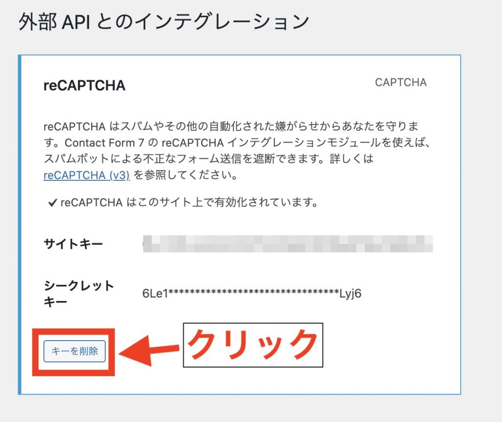 Invisible reCaptcha for WordPressの導入方法：Contact Form 7のreCAPTCHAのAPIキーを削除する手順3